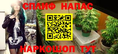 mdma Кингисепп