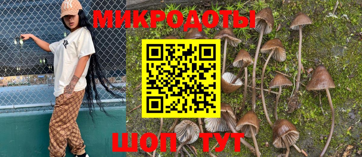 Псилоцибиновые грибы Cubensis  Вход с VPN  цена   Ялуторовск 